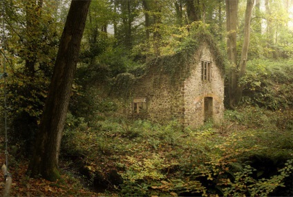 20 Fotografii uimitoare de case, pierdute în păduri uriașe