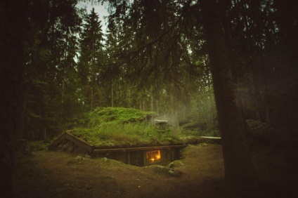 20 Fotografii uimitoare de case, pierdute în păduri uriașe