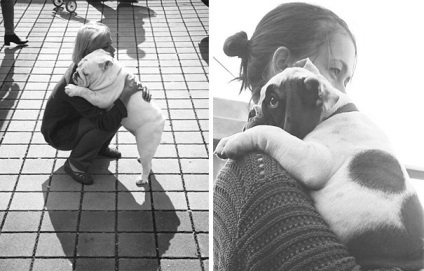 25 Atingerea imaginilor cu brațele câinilor și a proprietarilor lor