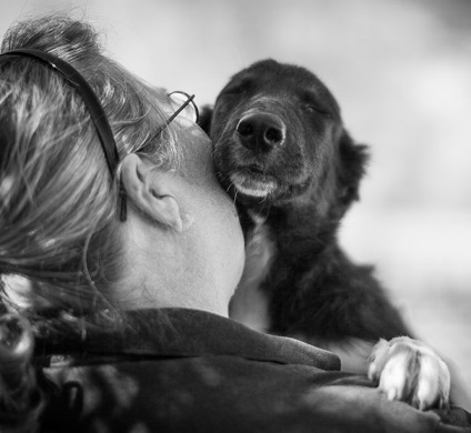 25 Atingerea de imagini cu brațele câinilor și a proprietarilor lor