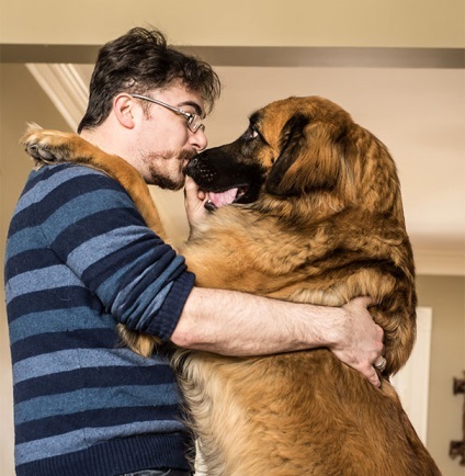 25 Atingerea imaginilor cu brațele câinilor și a proprietarilor lor