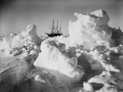 69 Caini mâncați și o istorie delicioasă a navei de pisici din expediția imperială trans-antarctică