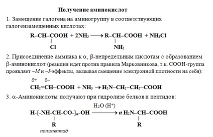 Aminoacizi, preparat pentru chimie și chimie în chimie