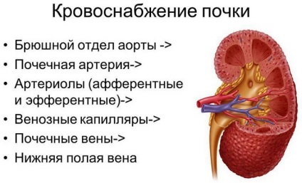 Anevrismul clasificării, diagnosticului și tratamentului arterei renale