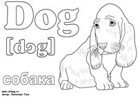 Engleză în imagini! Câine de colorat - campioni și geniali mici