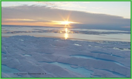 Marea Barents, turism