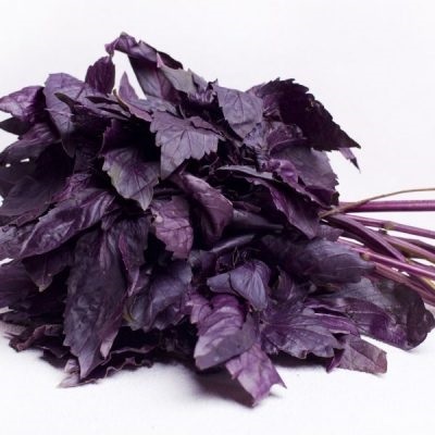 Vasul violet