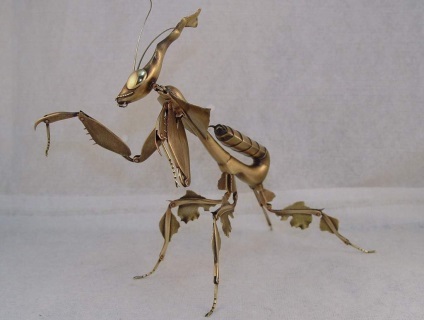Mantis fantoma - caracteristici ale habitatului în natură și în captivitate