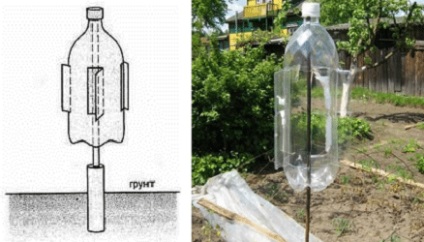 Luptele de luptă la locul și gradina de legume - metode eficiente