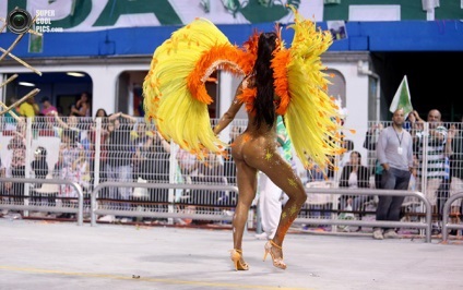 Carnavalul brazilian 2013 (66 fotografie 18) - Tehnopolis mâine