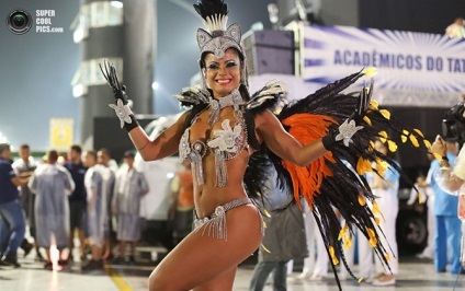 Carnavalul brazilian 2013 (66 fotografie 18) - Tehnopolis mâine