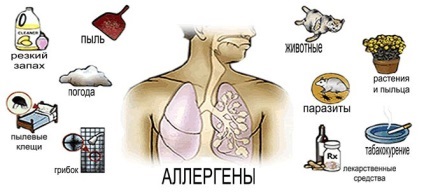Astmul bronșic de origine mixtă