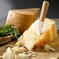 Odată ce este posibil să înlocuiți brânza de parmezan, condițiile de casă
