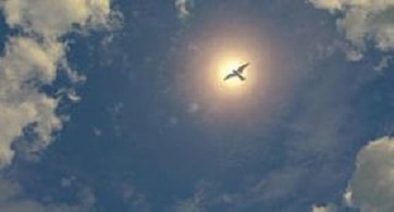Ce înseamnă zicala - pasărea poate fi văzută în zbor