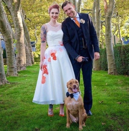 Тя се обърна с хобито си в работа мечта, тя се подготвя за сватбата на кучета домашни! интересни новини