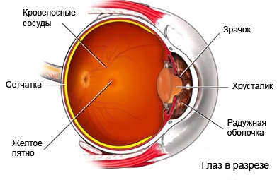 Dystrofia punctului galben Simptomele, semnele, diagnosticul și tratamentul