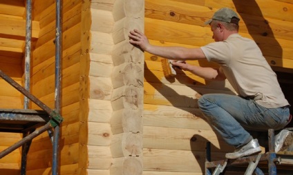 Case din specii de lemn și caracteristici în construirea unei case de țară