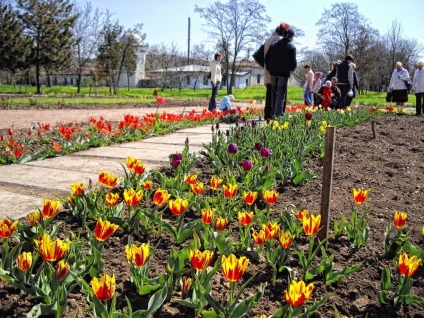 Atracții ale grădinii botanice din Simferopol, Crimeea, Crimeea, Crimeea, rezervare hotel