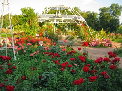 Atracții ale grădinii botanice din Simferopol, Crimeea, Crimeea, Crimeea, rezervare hotel