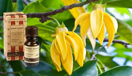 Ulei esențial ylang-ylang utilizare, proprietăți, aplicare - uleiuri esențiale - frumusețe și sănătate -