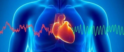 Ecouri ale inimii că astfel se formează informațiile despre sănătate