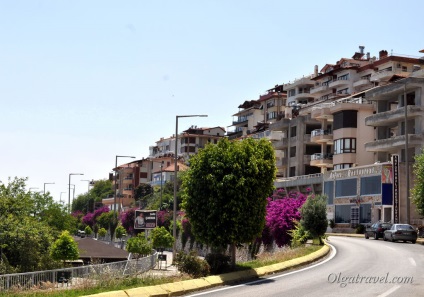 Capitala portocalie a lui Finike