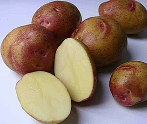 Fotografie și descrierea soiurilor populare de cartof video