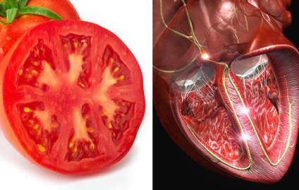 A gyümölcsök és zöldségek hasonlóak az emberi szervekhez