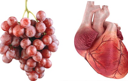 Плодовете и зеленчуците са подобни на човешки органи
