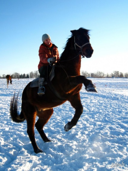 În cazul în care pentru a călări calul sub harta Minsk de locuri și prețurile 2014 - blog turistic despre vacanta in Belarus