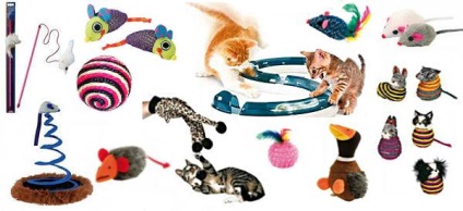 Hipodinamia la pisici și pisici - jucării pentru prevenirea hipodinamiei