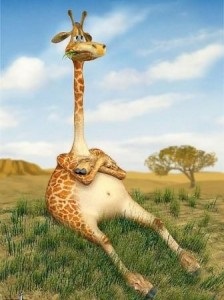 Érdekes tények a zsiráfokról, a boldog gyermekkorról szóló oldalról