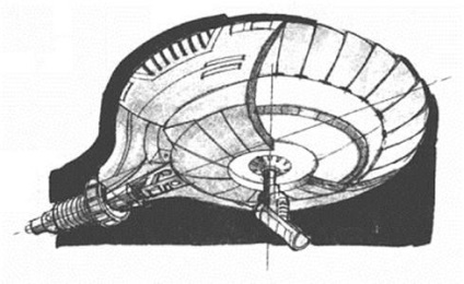 Ion rayemi ssi-ruiwi - stadopedia