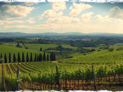 De la Florența până la Toscana pe un tur Chianti