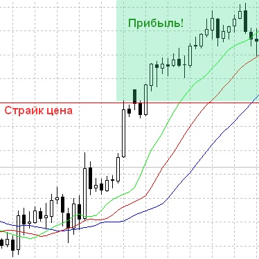 Какви са опциите четат, преди да започнете да търгувате двоични опции - да печелят $ двоичен опции