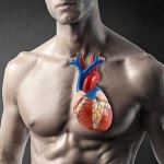 Cum să evitați decesul subit din stoparea cardiacă, tratamentul în Germania, medicina în Europa