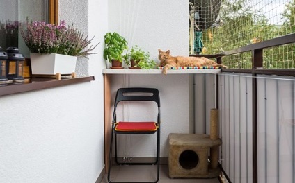 Hogyan készítsünk erkélyt magadnak és egy piros macskának?