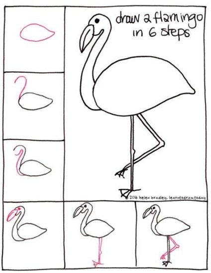 Cum să atragă flamingos în 8 moduri simple - iubesc hobby - cele mai bune clase de master din întreaga lume!