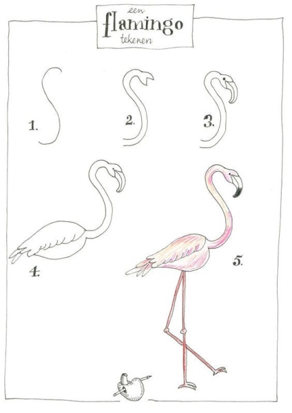 Cum să atragă flamingos în 8 moduri simple - iubesc hobby - cele mai bune clase de master din întreaga lume!