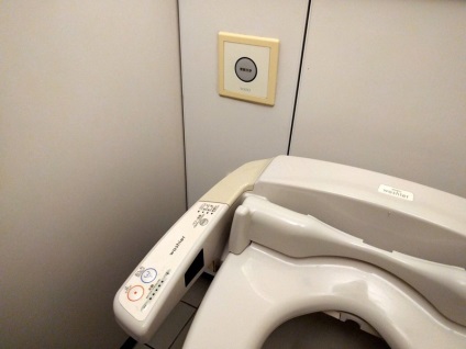 Cum să aranjați toaletele japoneze (17 fotografii)