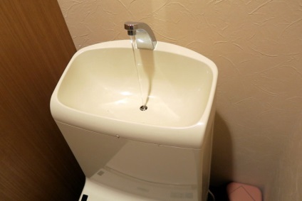 Cum să aranjați toaletele japoneze (17 fotografii)