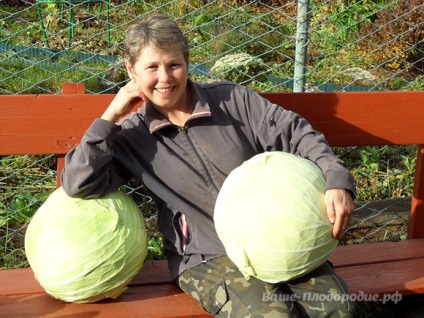 Cum am ajuns la agricultura naturala, mișcarea vietii