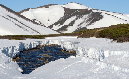 Cum trăiesc urșii pe Kamchatka