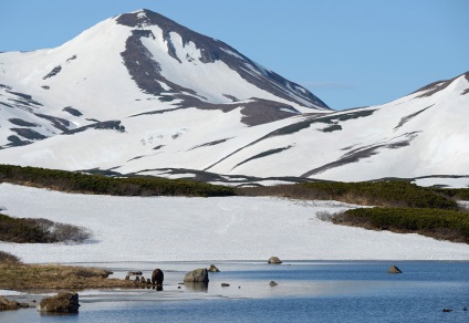 Cum trăiesc urșii pe Kamchatka