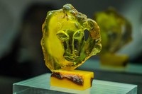 Kaliningrad Amber Museum - ce să vezi în muzeu, istorie, prețuri la bilete și programul de lucru