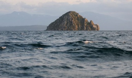 Kamchatka Bears