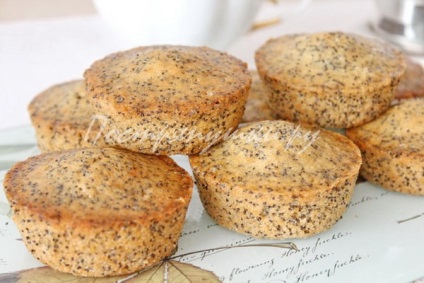 Cupcakes cu semințe de mac - rețetă cu o fotografie