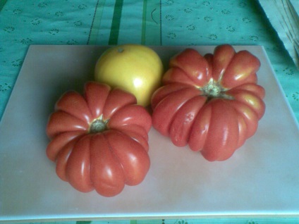 Tomate roșii (Vitali Alekseev)