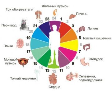 Când este mai bine să luați medicamente, vitamine și remedii pe bază de plante, casa ta sănătoasă