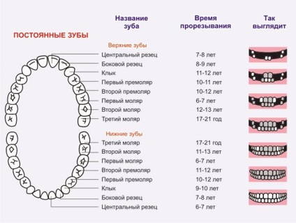 Когато зъбите започват да се изкачи в новородено Отговорът тук!